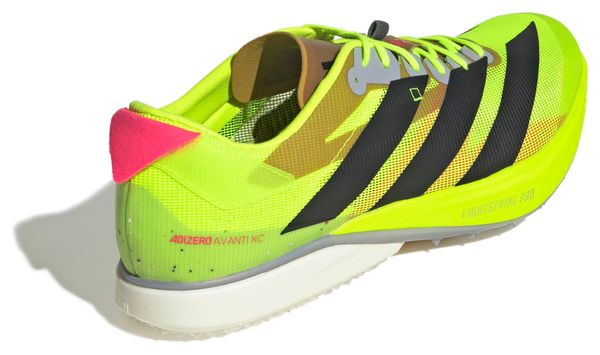 Chaussures d'Athlétisme adidas Performance Adizero Avanti XC Jaune/Noir Unisexe