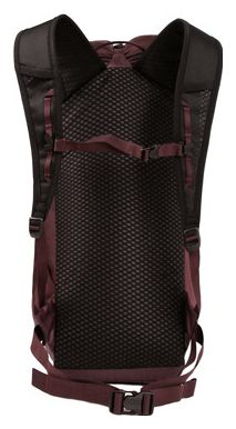 Blue Ice Dragonfly 26L Violet mountaineering tas