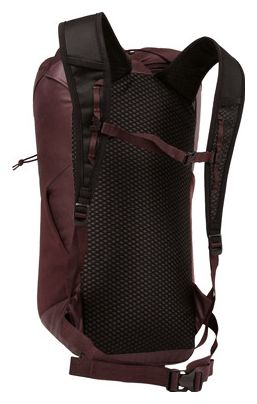 Blue Ice Dragonfly 26L Violet mountaineering tas