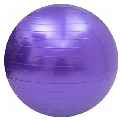 Swiss Ball Ballon de Fitness Gymnastique pour Pilates Yoga Renforcement du Dos avec Pompe Ballon - Violet Diamètre 75 cm Taille M