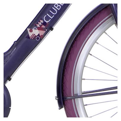 Alpina Garde-boue set 24 Clubb violet gris