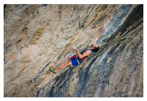Harness Simond Edge Orange Yellow