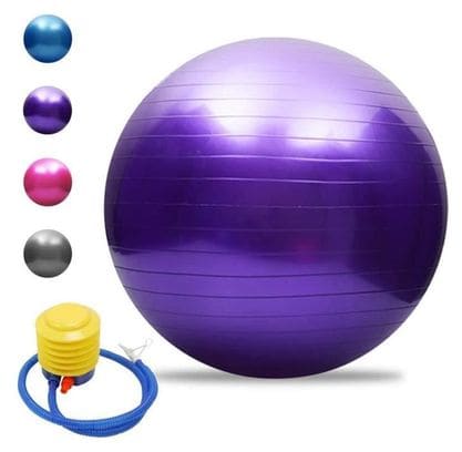 Balle de yoga Balle d'équilibre Pilates Barre de gymnastique physique Balle d'exercice physique 75 cm Violet