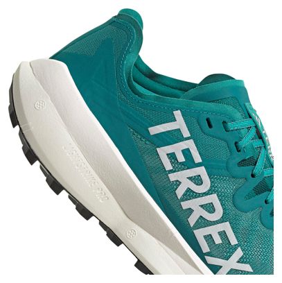 Chaussures Trail adidas Terrex Agravic Speed Vert Homme