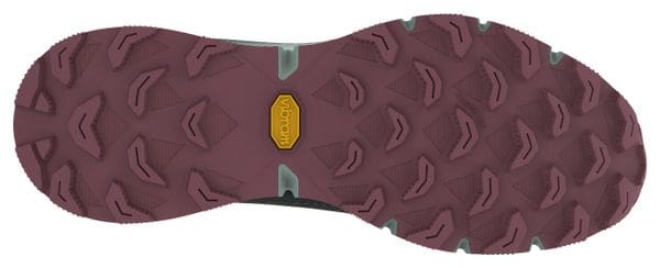 Scarpe da trail Dynafit Ultra 100 GTX Donna Verde/Rosa