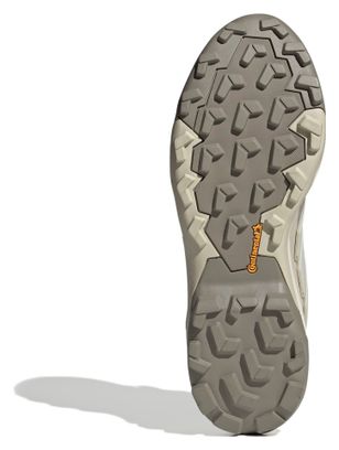 Buitenschoenen adidas Terrex Skychaser GTX Beige Homme