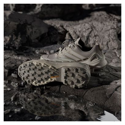 Buitenschoenen adidas Terrex Skychaser GTX Beige Homme