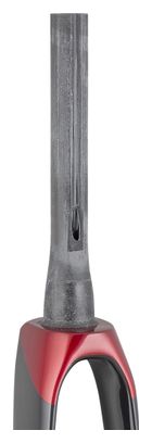 Trek Rigid Fork 2021 Madone SLR 700c Crimson/Carbon Smoke