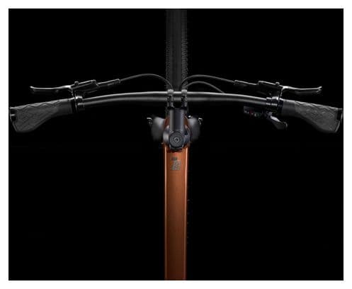 Trek Dual Sport 3 Fitness Bike Shimano CUES 10V 27.5'' Brown Gen 5