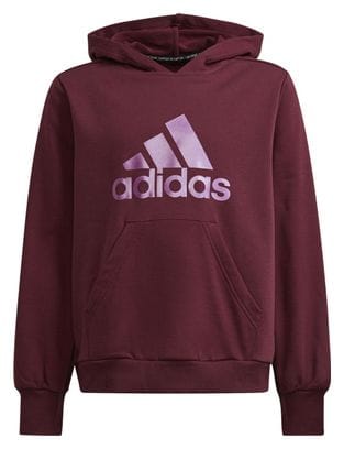 Sweatshirt à capuche fille adidas Future Icons Logo