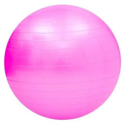 Swiss Ball Ballon de Fitness Gymnastique pour Pilates Yoga Renforcement du Dos avec Pompe Ballon - Rose Diamètre 65 cm Taille S