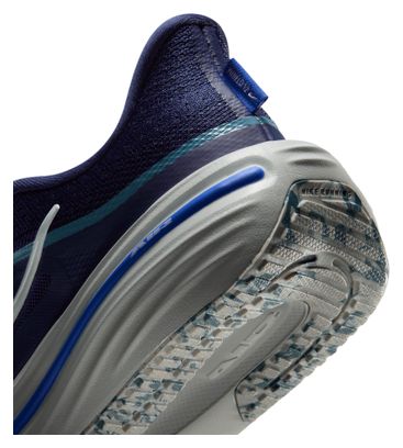 Nike Winflo 12 Blue Running Shoes for Kids
