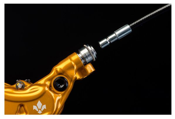 Formula Disc Brake Pair Cura 4 (disc 203mm) Gold 2019
