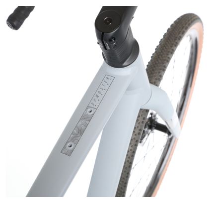 Scott Speedster Gravel 40 Bicicleta Gravel Shimano GRX 10S 700 mm Gris