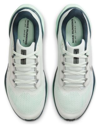 Scarpe da corsa Nike Pegasus 41 Grigio/Verde Donna