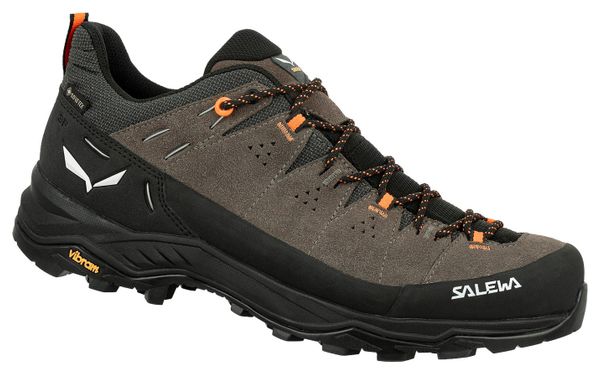 Chaussures de Randonnée Salewa Alp Trainer 2 Gore-Tex Marron/Noir