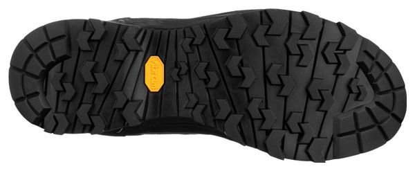 Chaussures de Randonnée Salewa Alp Trainer 2 Gore-Tex Marron/Noir
