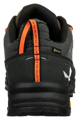 Chaussures de Randonnée Salewa Alp Trainer 2 Gore-Tex Marron/Noir