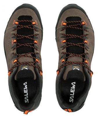 Chaussures de Randonnée Salewa Alp Trainer 2 Gore-Tex Marron/Noir