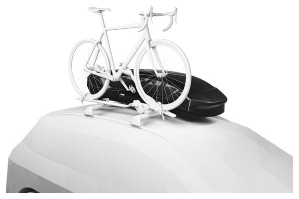 Thule Motion 3 Sport dakkoffer (300 L) Zwart Glanzend