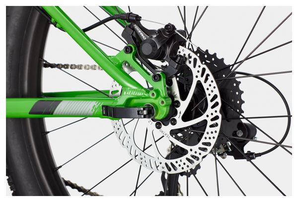 VTT Enfant Cannondale Kids Cujo 24+ Shimano Tourney 8V 24'' Vert 7 - 12 ans