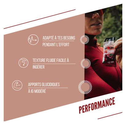 Gel Energétique Stick Baouw Cerise/Guarana - 44g