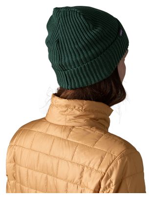 Unisex Patagonia Fishermans Rolled Green Beanie 