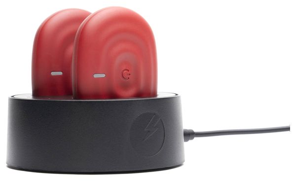 Stazione di ricarica USB PowerDot PowerDock