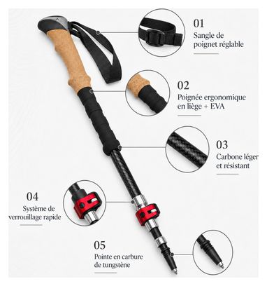 Bâtons de marche nordique en Carbone  pliables  SHOCKPROOF  noir - VOXOR
