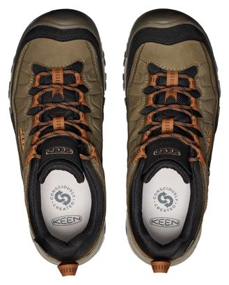 Keen Targhee IV Waterdicht Bruin Wandelschoenen