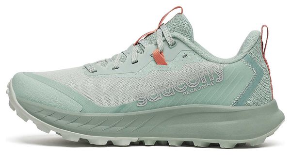 Chaussures Trail Saucony Peregrine 15 Vert Femme