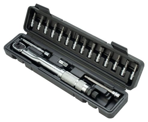 Jeu de clés dynamométriques 14 bits 1/4  2-24 Nm