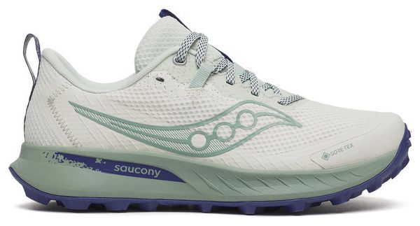 Chaussures Trail Saucony Peregrine 15 GTX Blanc/Vert Femme