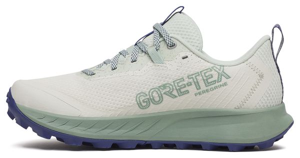 Chaussures Trail Saucony Peregrine 15 GTX Blanc/Vert Femme