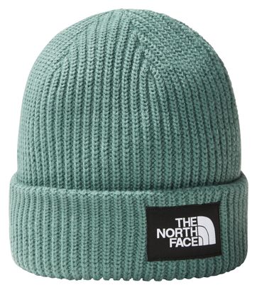 Unisex The North Face Salty Lined Beanie Grün