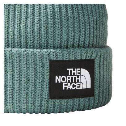 Unisex The North Face Salty Lined Beanie Grün