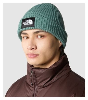 Gorro unisex The North Face Salty  LinedVerde