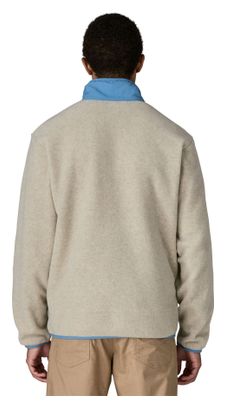 Polaire Patagonia Synchilla Gris Homme
