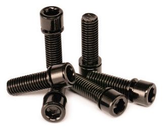 Salt Solid Stem Screw M8x25mm Black (6 Units)