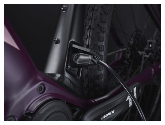 2020 Trek Powerfly 29'' Sram SX Eagle 12V Matte Mulberry/Trek