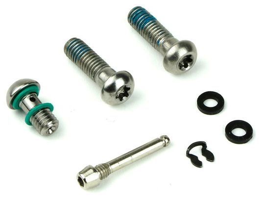 Kit Vis d'Etrier Sram DB8/DB6/DB4/Motive