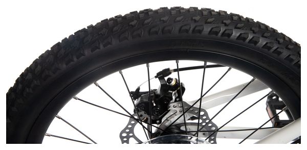 SCAMP Tallfox 20 'Shimano 8V Kinderfahrrad Weiß