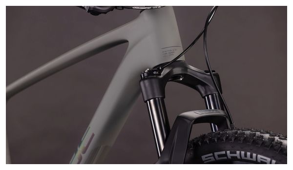 Cube Reaction C:62 One Hardtail MTB Shimano Deore XT 12S 29'' Old Grey 2026