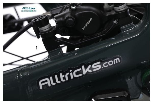 Produit Reconditionné - VTC Électrique Liv Allure E+1 Shimano Nexus 5V 500 Wh 700 mm Trekking Green