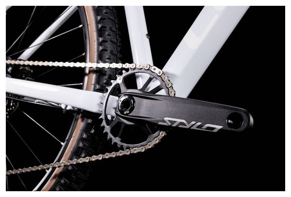 MTB Cube Acid Hardtail Sram NX Eagle 12V 29'' Bianco Frost 2022