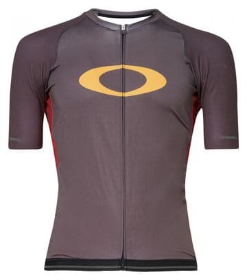 Maillot Manches Courtes Oakley ICON 2.0 Gris