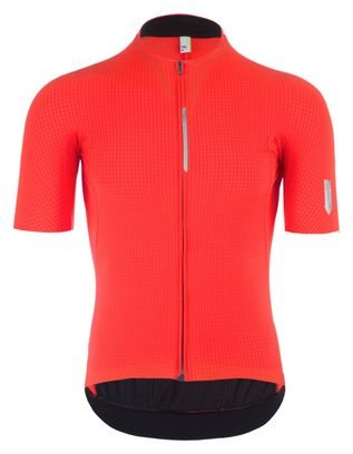 Maillot Manches Courtes Q36.5 Pinstripe PRO Rouge