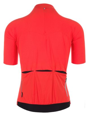 Maillot de manga corta Q36.5 Pinstripe PRO Rojo