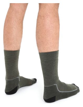 Calcetines Icebreaker Merino Hike+ caqui