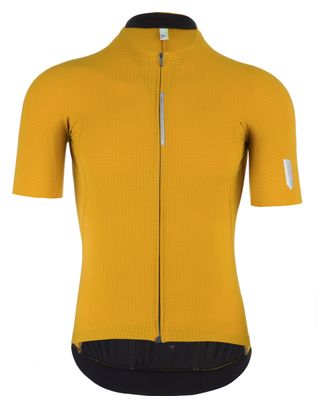 Maillot de manga corta Q36.5 Pinstripe PRO Amarillo